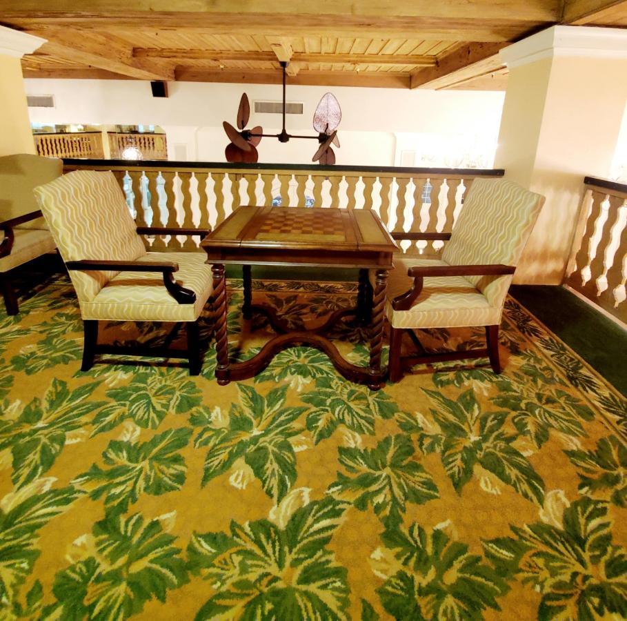 Romantic Studio In The Heart Of Palm Beach Exterior foto